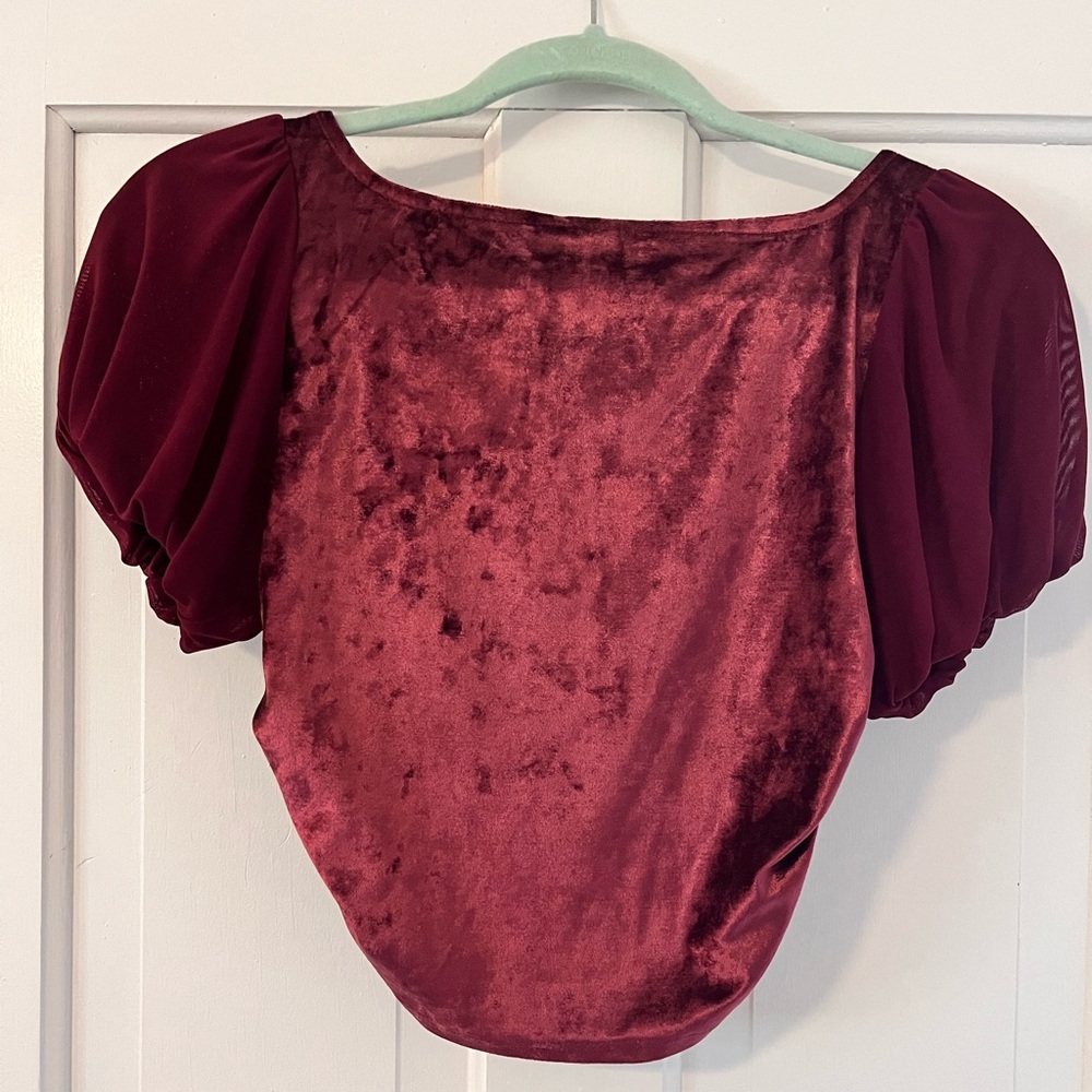 Cute crop velvet top